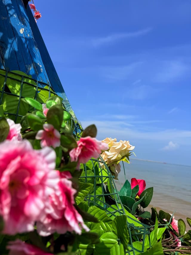 大海与假💐