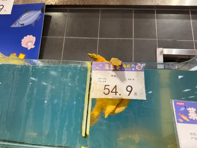 顽强之鳖